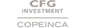 CFG INVESTMENT